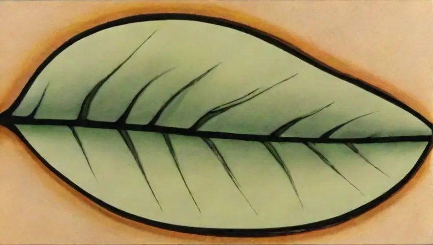 Hojas con manchas quemadas, colores amarillos y marrones, y detalles que reflejan el daño y la solución