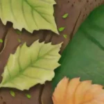 Hojas verdes vibrantes con detalles intrincados y juego de luces y sombras en un entorno sereno