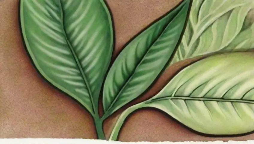 Hojas verdes vibrantes con texturas contrastantes y matices sutiles sugieren un crecimiento orgánico